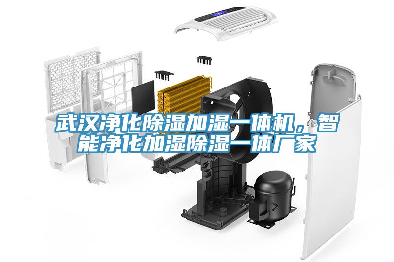 武漢凈化除濕加濕一體機，智能凈化加濕除濕一體廠家