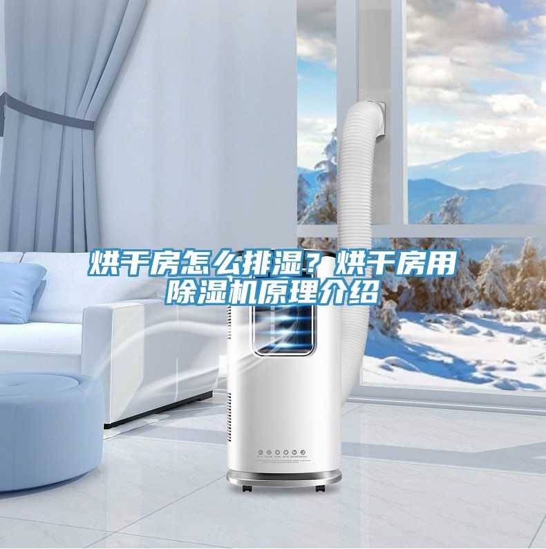 烘干房怎么排濕？烘干房用除濕機原理介紹