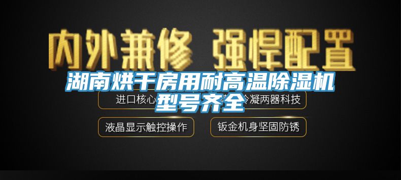 湖南烘干房用耐高溫除濕機型號齊全