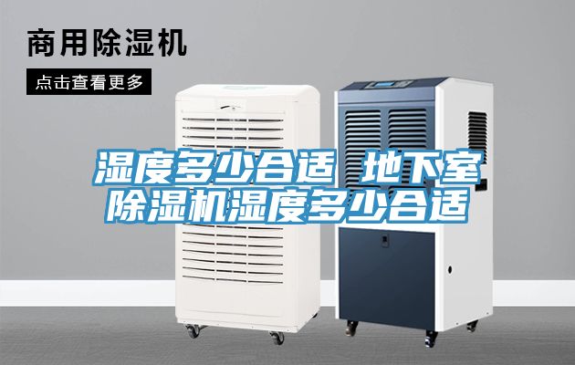 濕度多少合適 地下室除濕機濕度多少合適