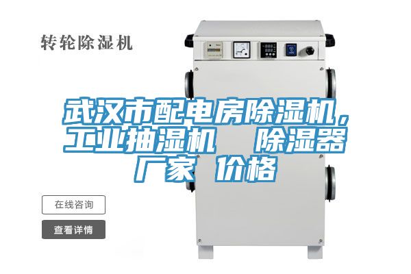 武漢市配電房除濕機，工業抽濕機  除濕器廠家 價格