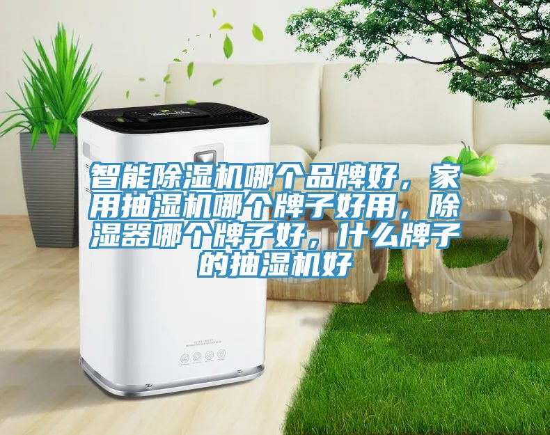 智能除濕機哪個品牌好，家用抽濕機哪個牌子好用，除濕器哪個牌子好，什么牌子的抽濕機好
