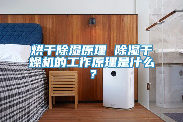 烘干除濕原理 除濕干燥機的工作原理是什么？