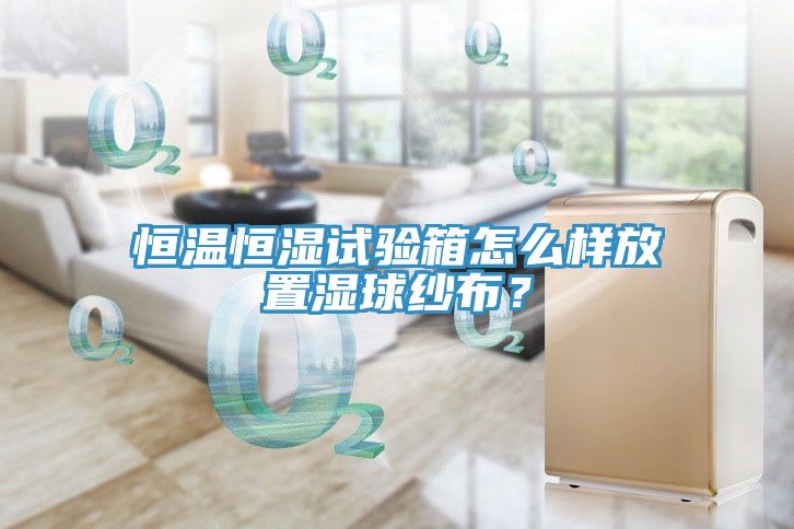 恒溫恒濕試驗箱怎么樣放置濕球紗布？