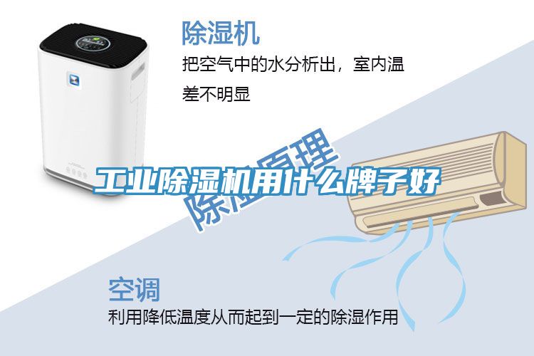 工業除濕機用什么牌子好