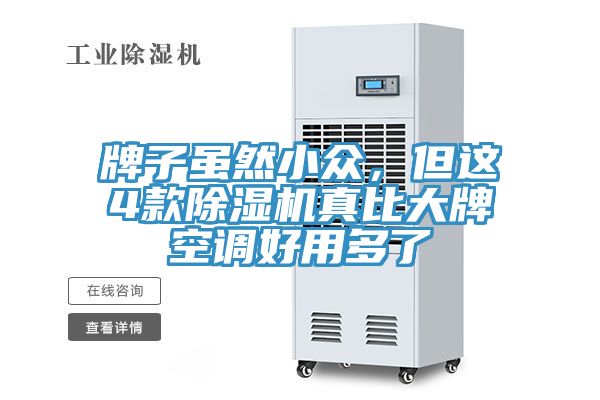 牌子雖然小眾，但這4款除濕機真比大牌空調好用多了