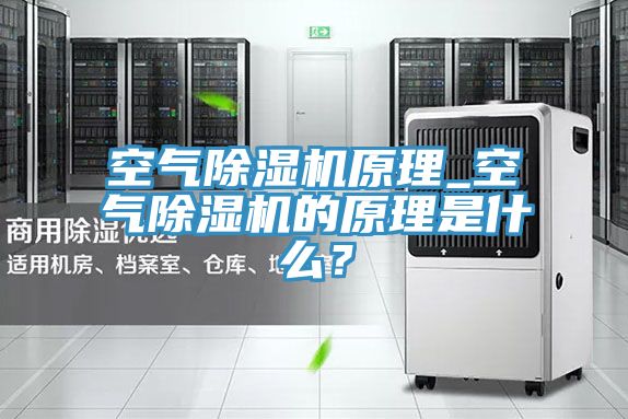 空氣除濕機原理_空氣除濕機的原理是什么？