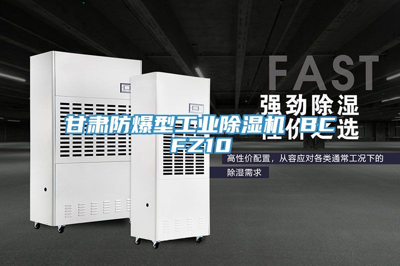 甘肅防爆型工業除濕機 BCFZ10