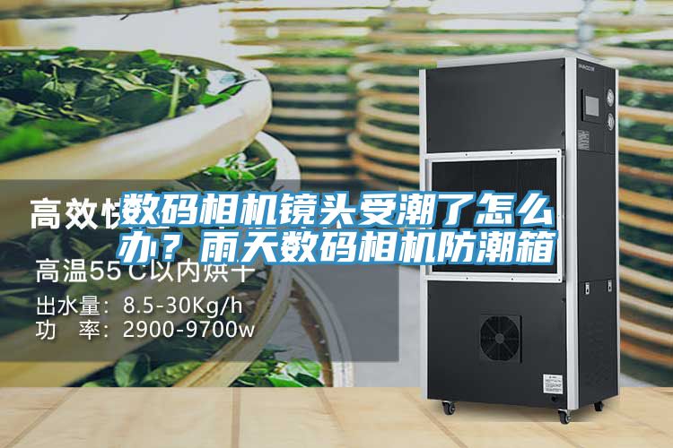 數碼相機鏡頭受潮了怎么辦？雨天數碼相機防潮箱