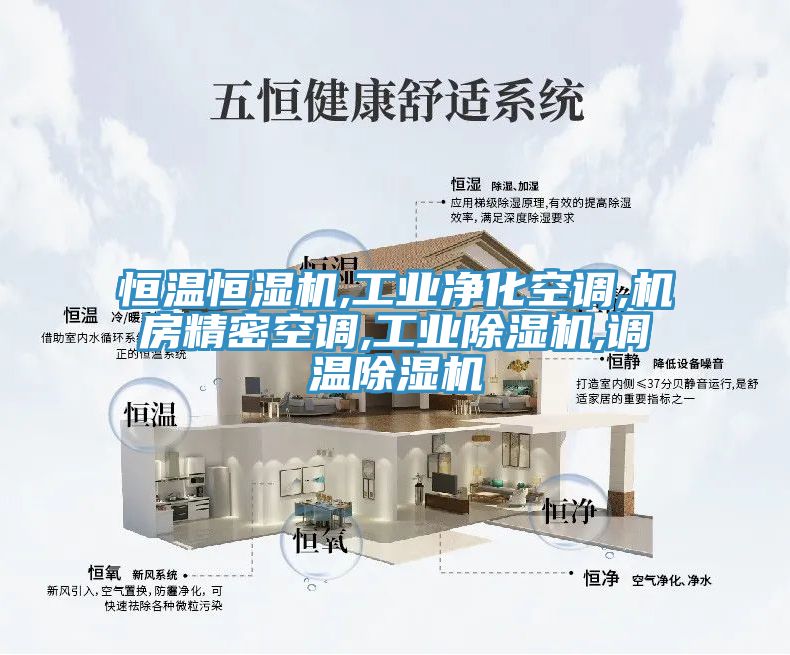恒溫恒濕機,工業凈化空調,機房精密空調,工業除濕機,調溫除濕機