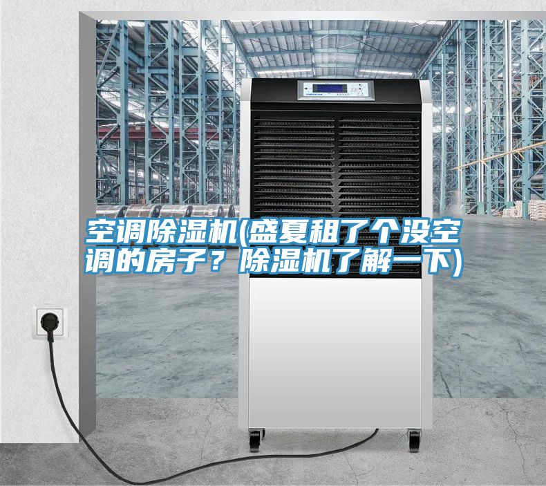空調除濕機(盛夏租了個沒空調的房子？除濕機了解一下)