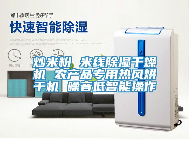 炒米粉 米線除濕干燥機 農產品專用熱風烘干機 噪音低智能操作