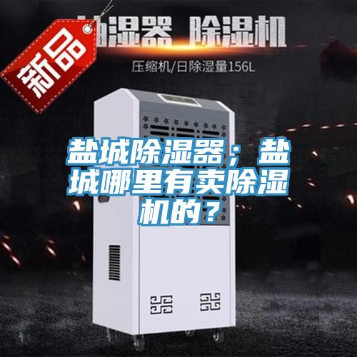 鹽城除濕器；鹽城哪里有賣除濕機的？