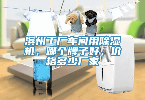 濱州工廠車間用除濕機，哪個牌子好，價格多少廠家