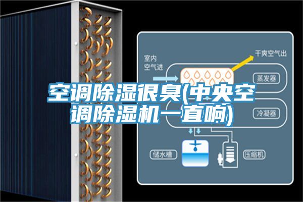 空調除濕很臭(中央空調除濕機一直響)