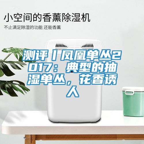 測評丨鳳凰單叢2017：典型的抽濕單叢，花香誘人