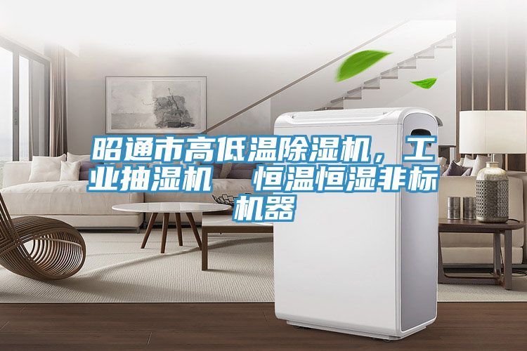 昭通市高低溫除濕機，工業抽濕機  恒溫恒濕非標機器