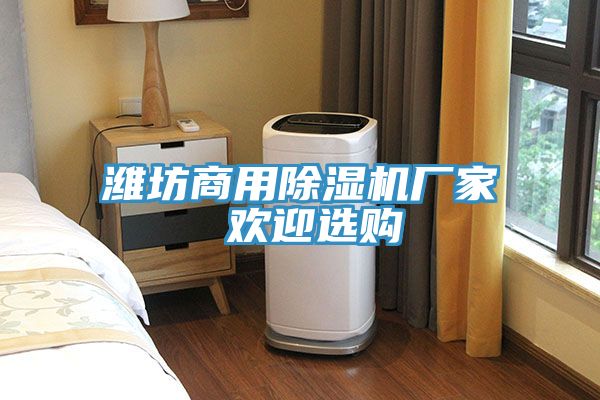 濰坊商用除濕機廠家 歡迎選購