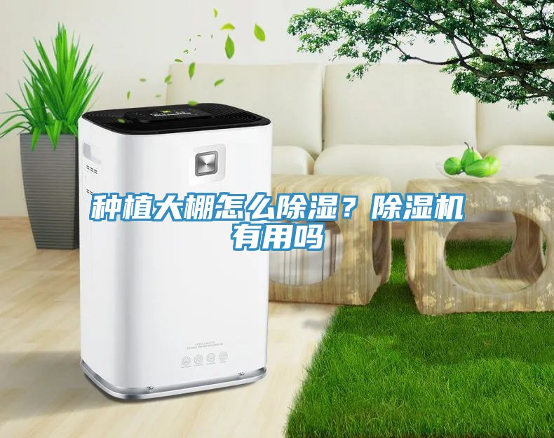 種植大棚怎么除濕？除濕機有用嗎