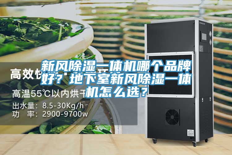 新風除濕一體機哪個品牌好？地下室新風除濕一體機怎么選？