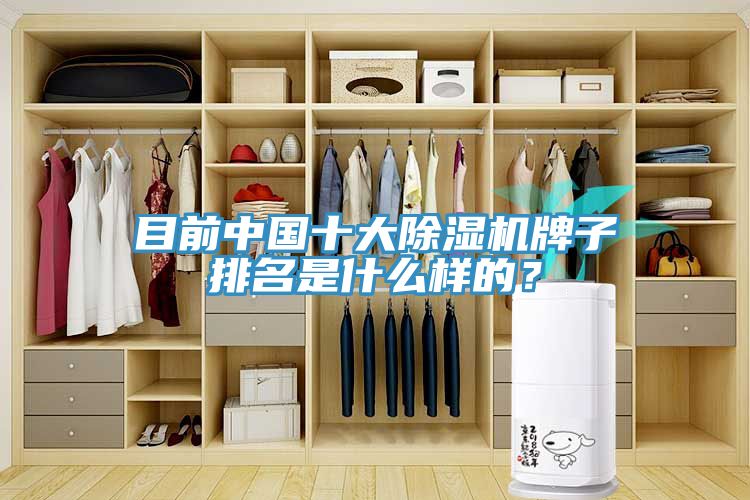 目前中國十大除濕機牌子排名是什么樣的？
