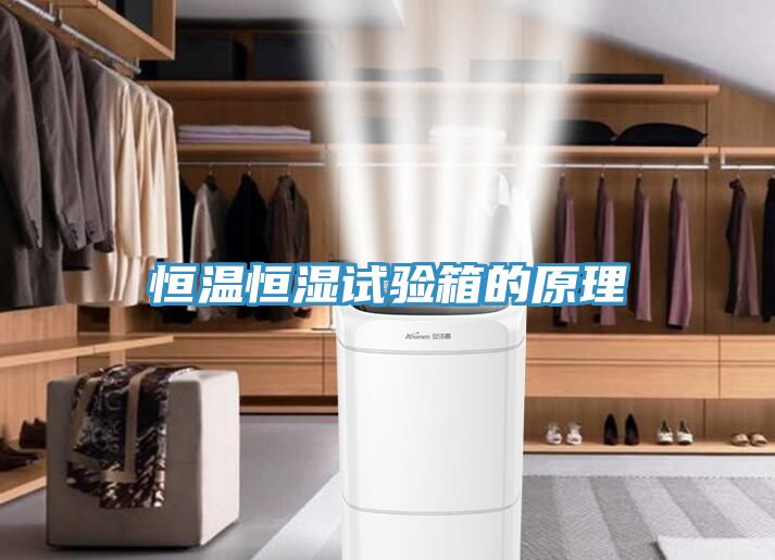 恒溫恒濕試驗箱的原理
