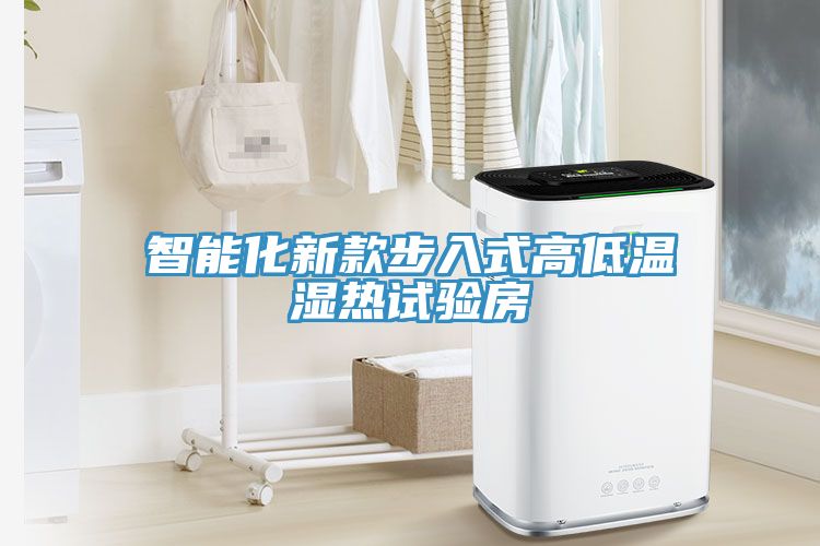 智能化新款步入式高低溫濕熱試驗房