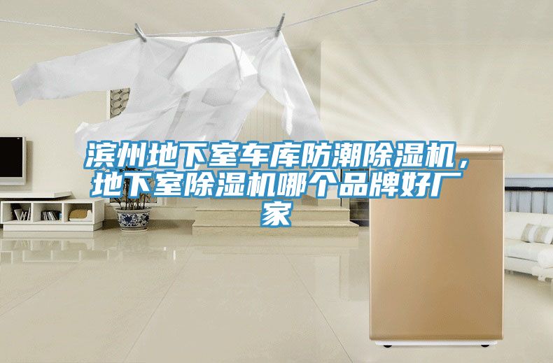 濱州地下室車庫防潮除濕機，地下室除濕機哪個品牌好廠家
