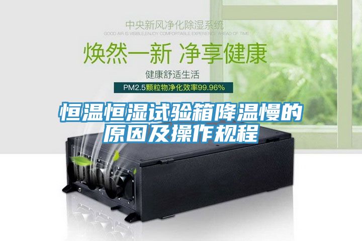 恒溫恒濕試驗箱降溫慢的原因及操作規程