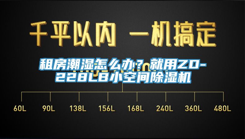 租房潮濕怎么辦？就用ZD-228LB小空間除濕機