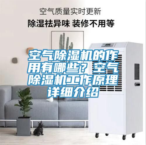 空氣除濕機的作用有哪些？空氣除濕機工作原理詳細介紹