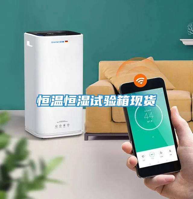恒溫恒濕試驗箱現貨