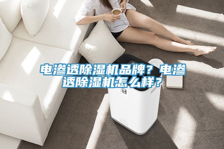 電滲透除濕機品牌？電滲透除濕機怎么樣？
