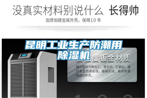 昆明工業生產防潮用除濕機