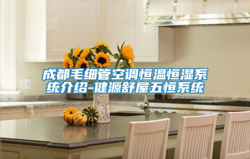 成都毛細管空調恒溫恒濕系統介紹-健源舒屋五恒系統