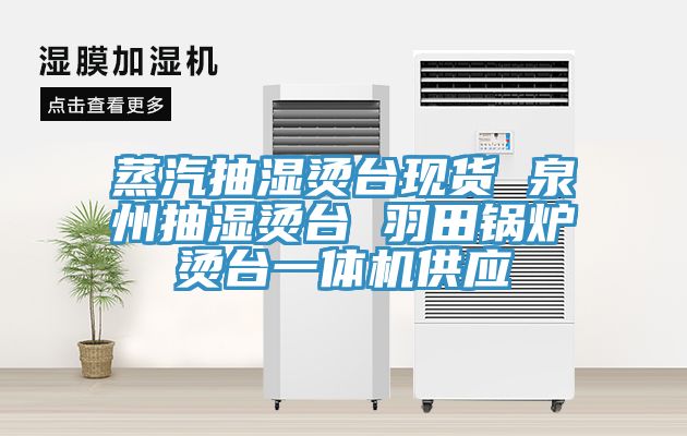 蒸汽抽濕燙臺現貨 泉州抽濕燙臺 羽田鍋爐燙臺一體機供應