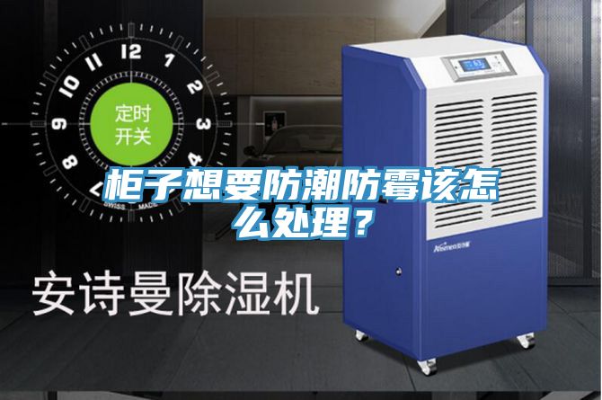 柜子想要防潮防霉該怎么處理？