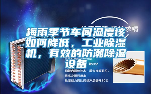 梅雨季節車間濕度該如何降低，工業除濕機，有效的防潮除濕設備