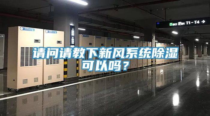 請問請教下新風系統除濕可以嗎？