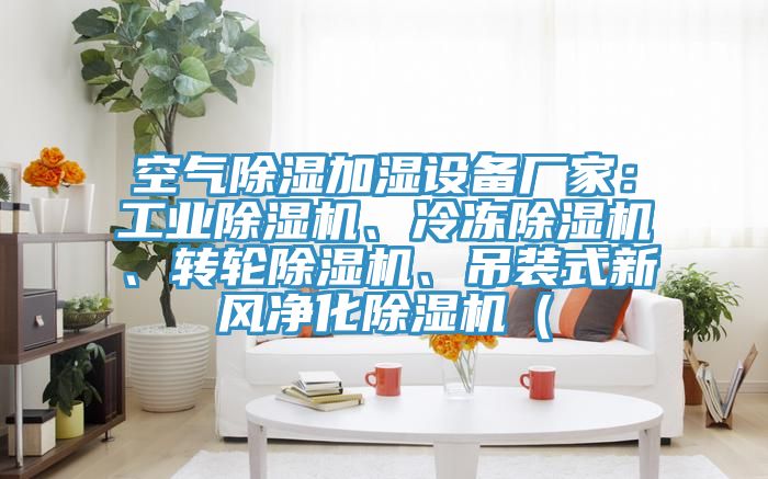 空氣除濕加濕設備廠家：工業除濕機、冷凍除濕機、轉輪除濕機、吊裝式新風凈化除濕機（