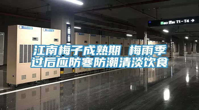 江南梅子成熟期 梅雨季過后應防寒防潮清淡飲食