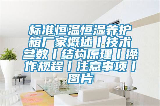 標準恒溫恒濕養護箱廠家概述丨技術參數丨結構原理丨操作規程丨注意事項丨圖片