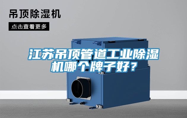 江蘇吊頂管道工業除濕機哪個牌子好？