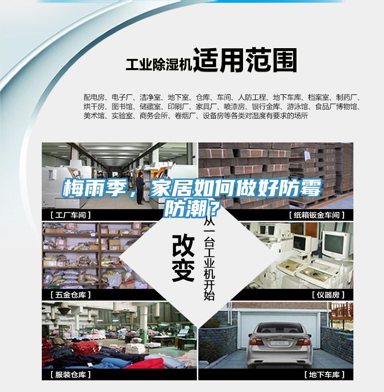 梅雨季，家居如何做好防霉防潮？