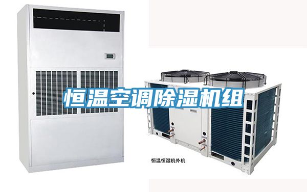 恒溫空調除濕機組
