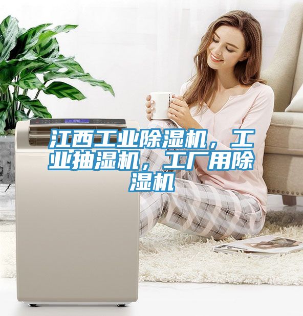 江西工業除濕機，工業抽濕機，工廠用除濕機