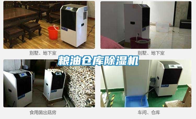 糧油倉庫除濕機