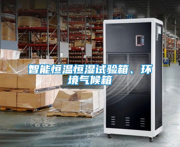 智能恒溫恒濕試驗箱、環境氣候箱