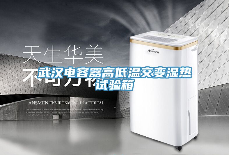 武漢電容器高低溫交變濕熱試驗箱