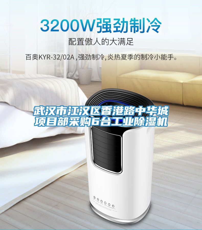武漢市江漢區香港路中華城項目部采購6臺工業除濕機